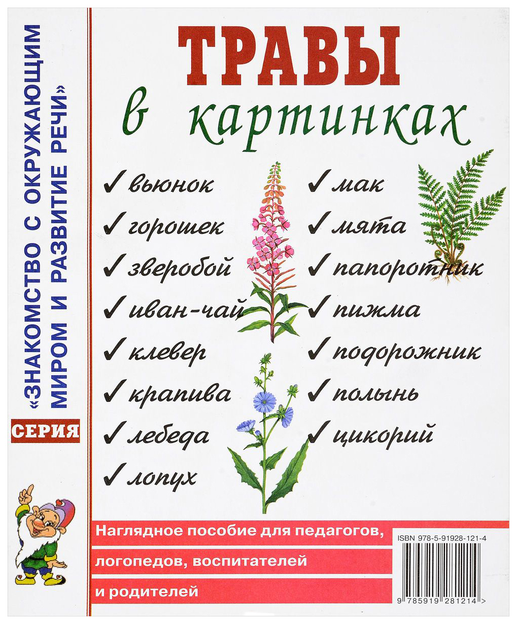 Лето в картинках наглядное пособие для педагогов логопедов воспитателей и родителей