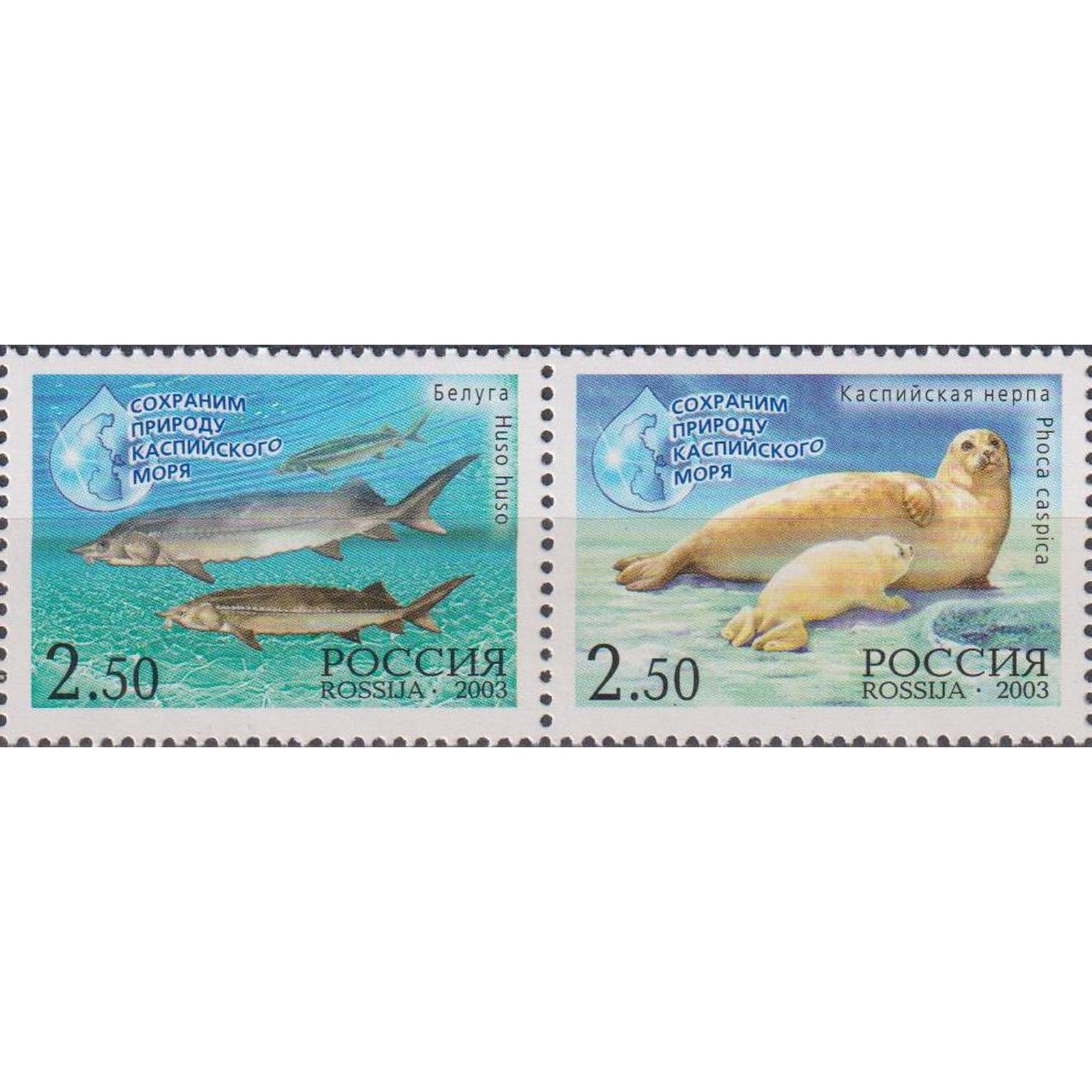 

Почтовые марки Россия Сохраним природу Каспийского моря Рыбы, ru886