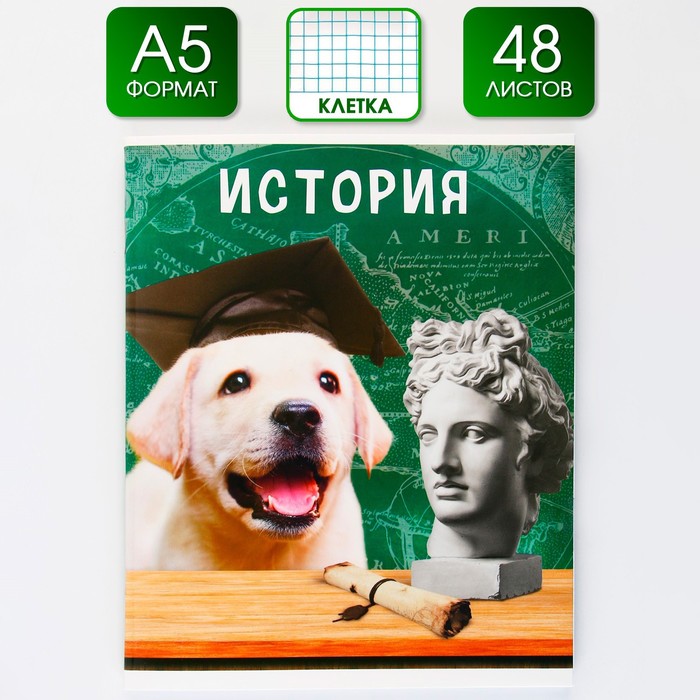

Предметная тетрадь ArtFox STUDY Милые Питомцы История 48 листов А5 в клетку