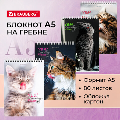 

Блокнот А5 (146х206 мм), 80 л., гребень, картон, клетка, BRAUBERG, "Довольные коты", 1143