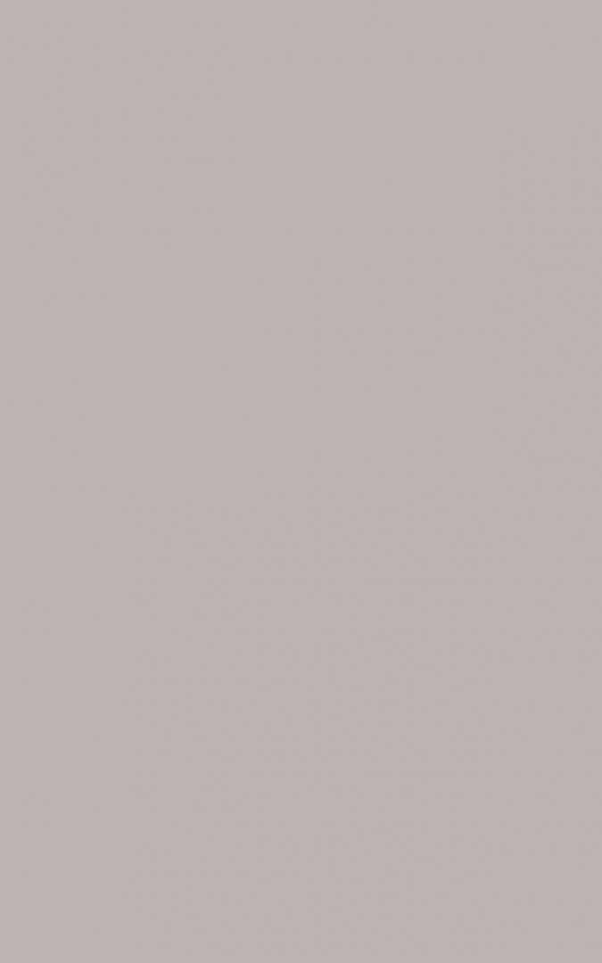

Плитка Creto Monica 00-00-5-09-01-11-2845 Taupe 40x25 1.5 м2, Monica