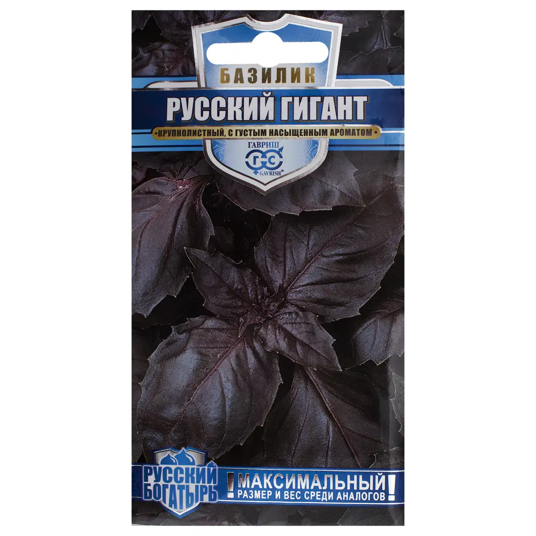 

Семена Базилик фиолетовый «Русский гигант»