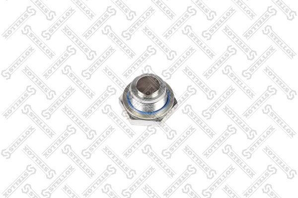 

89-03127-SX_пробка поддона\ RVI DXI11