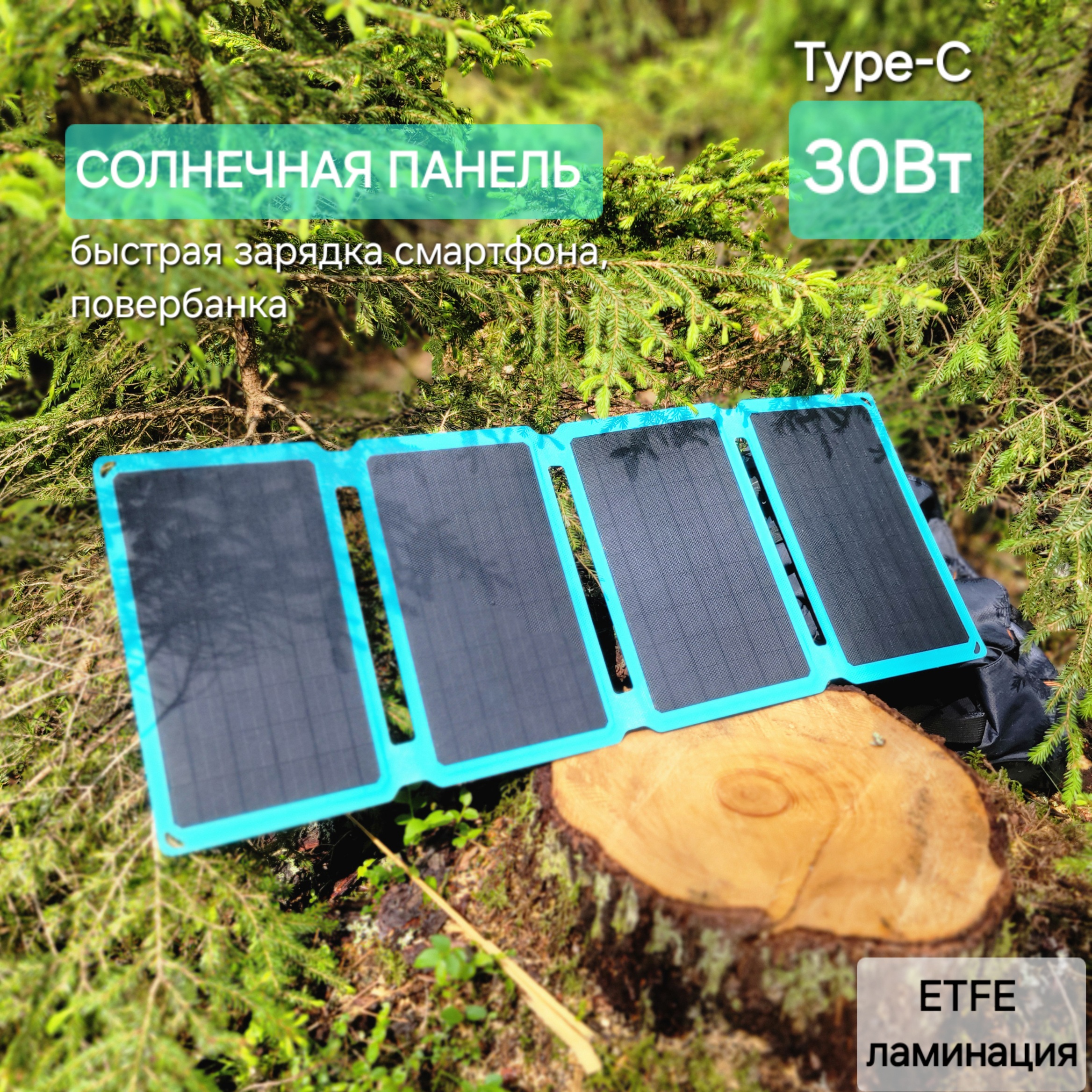 

Солнечная панель FRD Энерджи 30Вт TypeC, Черный, 30Вт TypeC