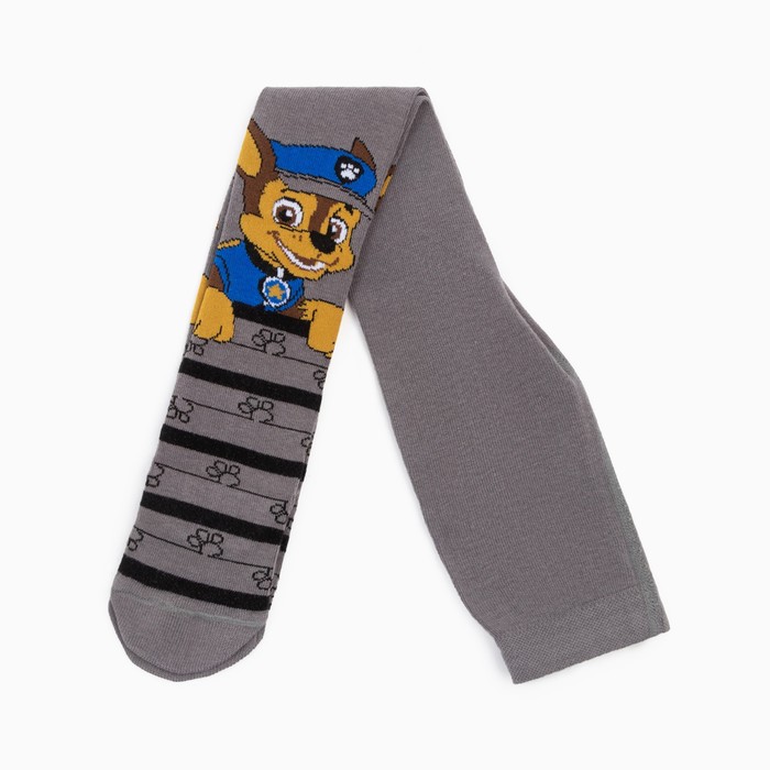 

Колготки PAW PATROL Гончик, цвет серый, 92-98 см, Щенячий патруль