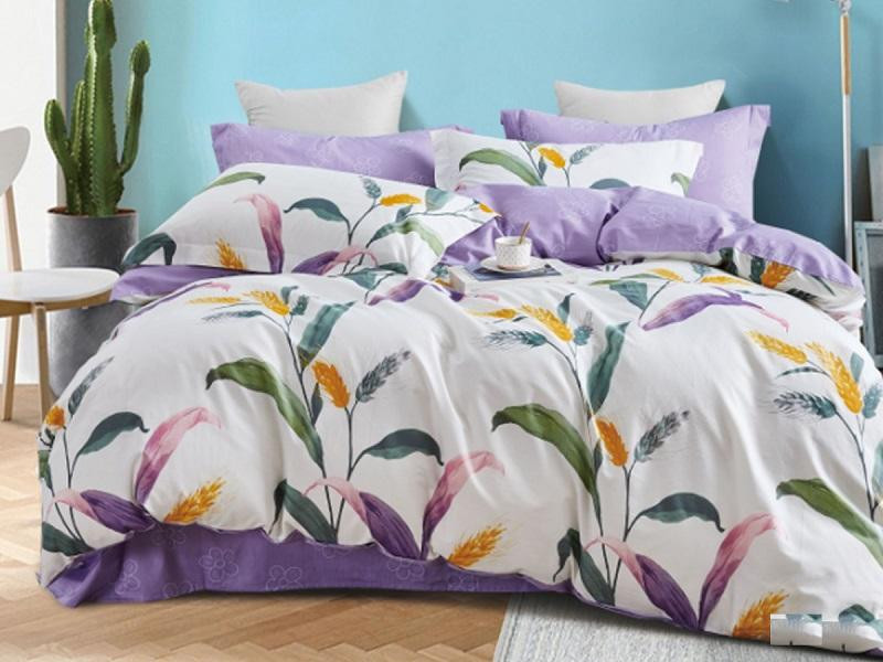 

Постельное белье из печатного сатина АЛЬВИТЕК CKK-027 50х70 (2шт) евро