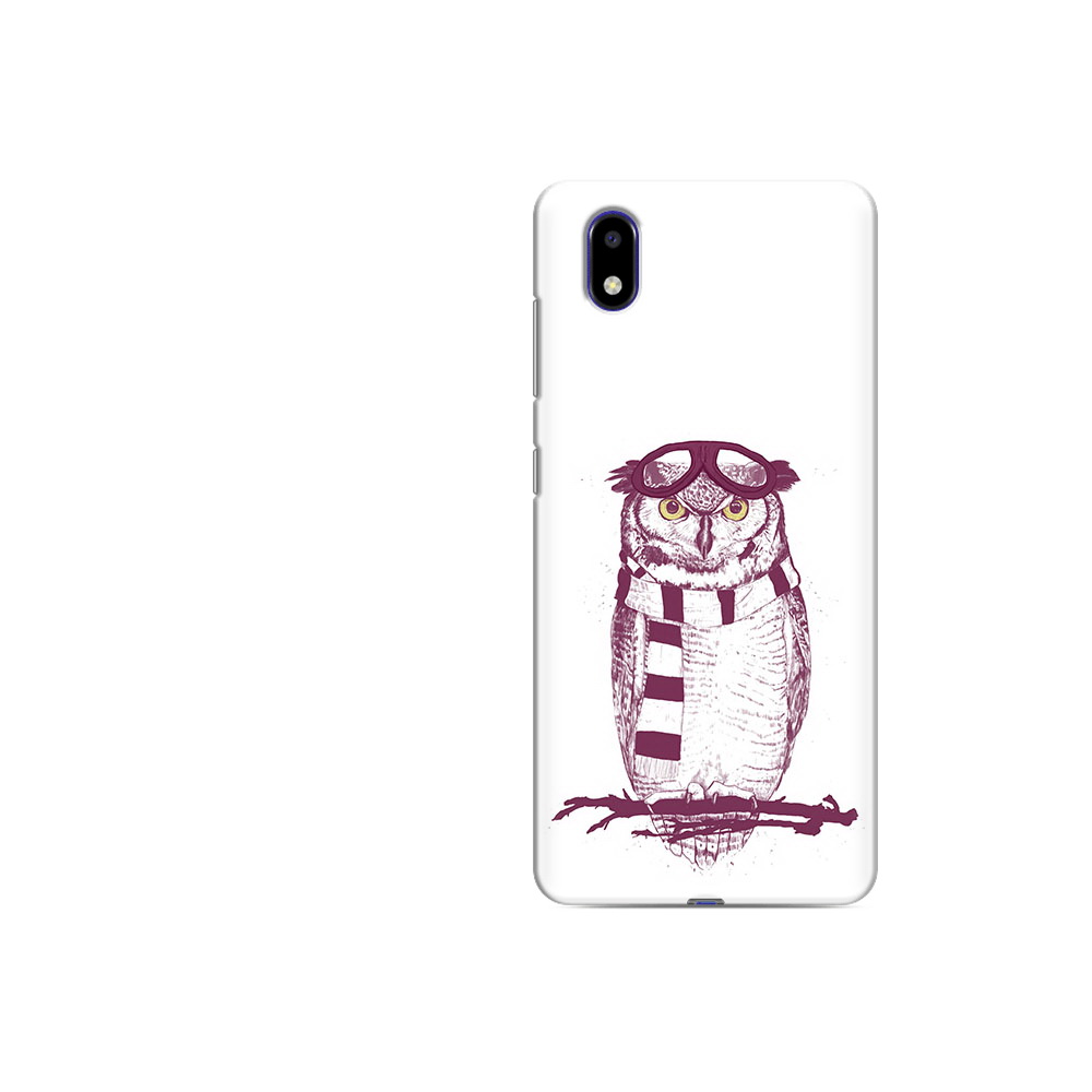 

Чехол MyPads Tocco для ZTE Blade A31 Lite сова-летчик (PT162823.461.612), Прозрачный, Tocco