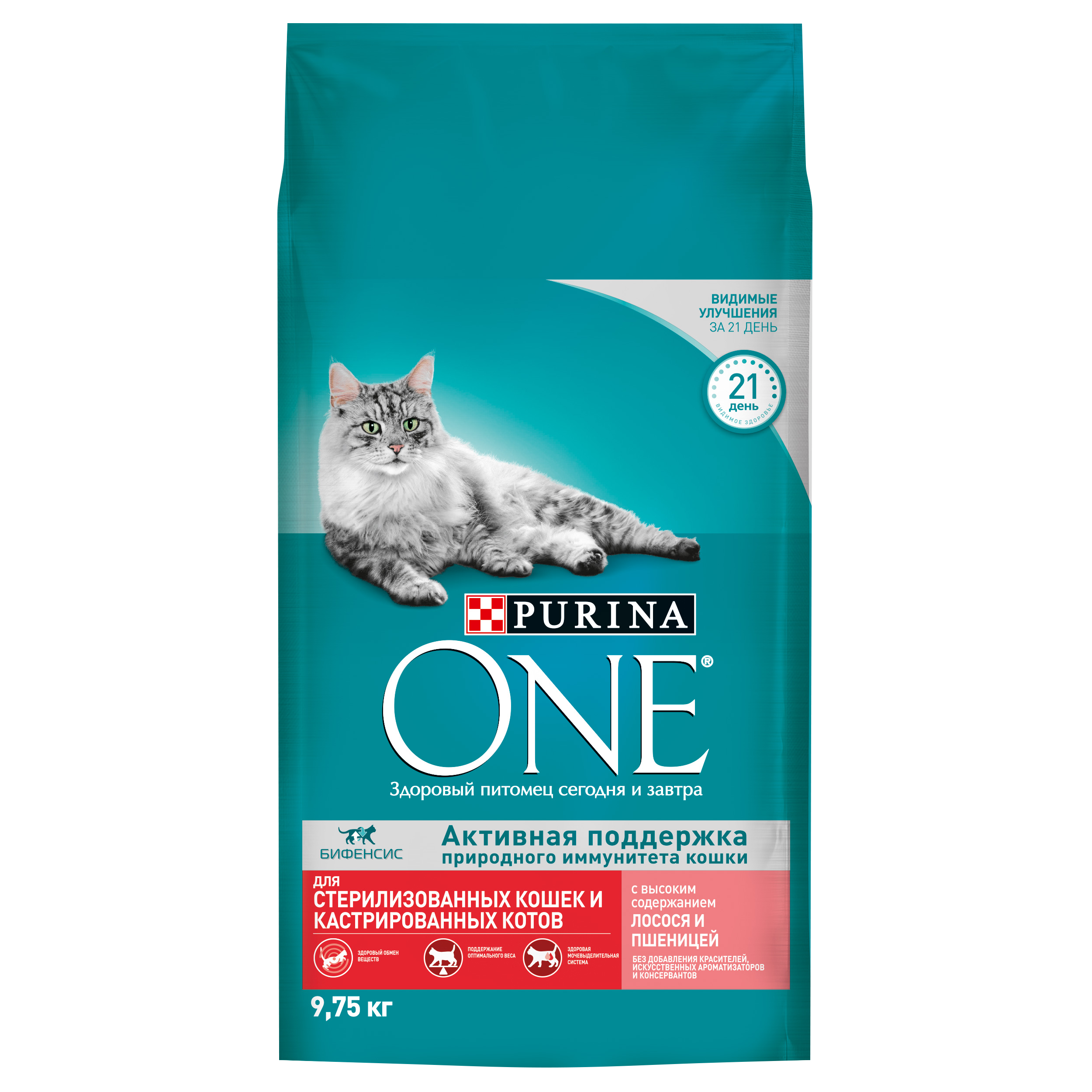 Купить пурина one. Корм Purina one для кошек 9.75 кг лососем курица. Пурина уан для котят. Корм Пурина one с лососем. Пурина уан для взрослых кошек.