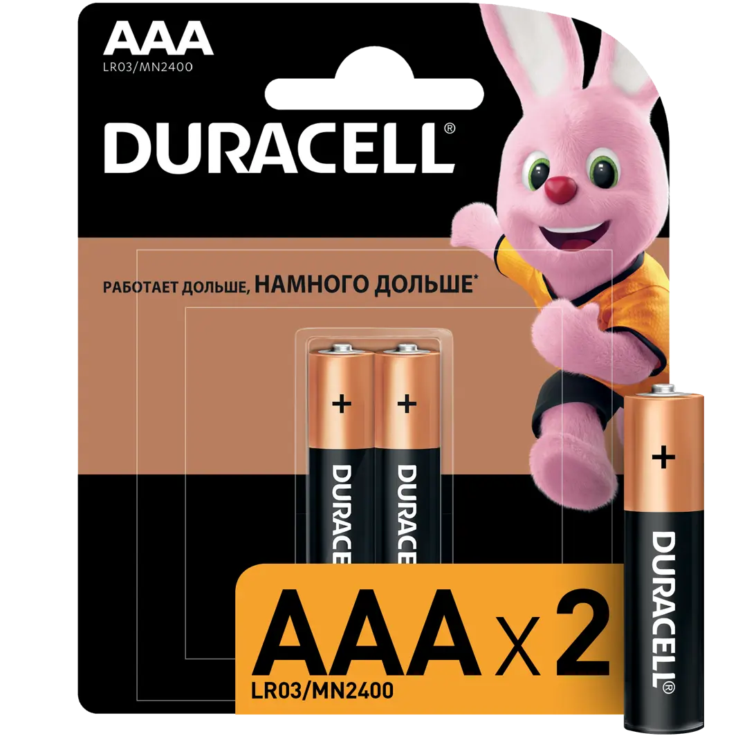 

Батарейка Duracell Basic AAA (LR03) алкалиновая 2 шт.