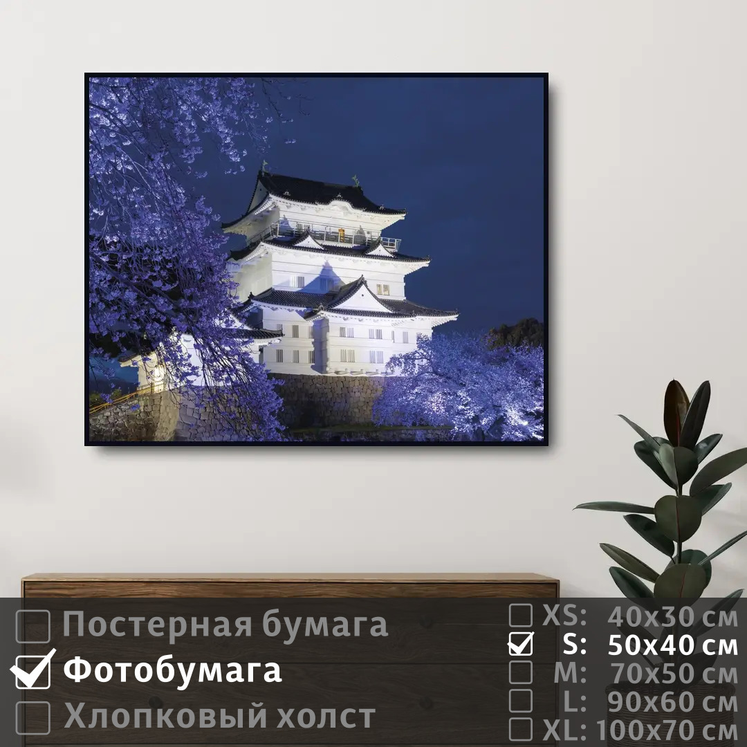 

Постер на фотобумаге ПолиЦентр Замок и сакура в японии 50х40 см, ЗамокИСакураВЯпонии