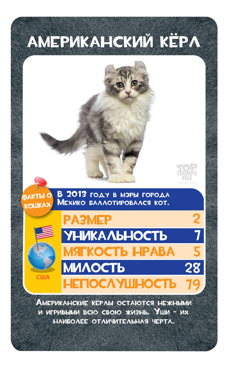 фото Семейная настольная игра top trumps кто тут самая непослушная? - кошки