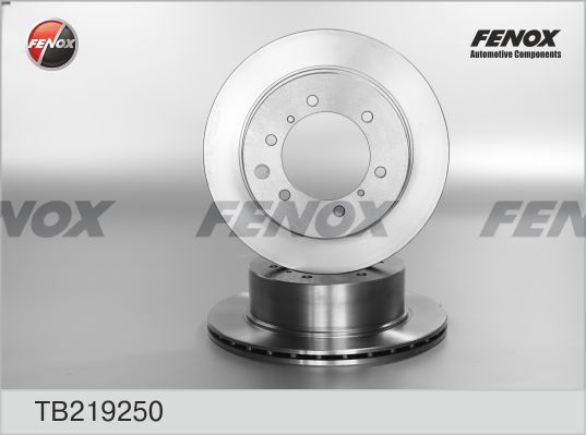 

Тормозной диск FENOX задний для Hyundai Terracan 2001- TB219250