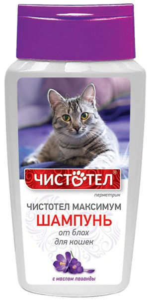 Шампунь для кошек Чистотел Максимум против блох и клещей, масло лаванды, 180 мл