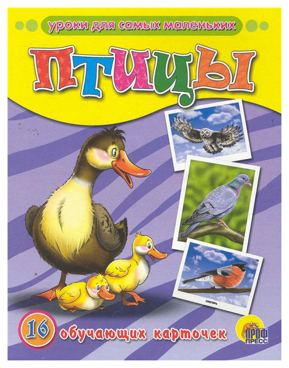 Обучающие карточки проф-Пресс птицы (16 карточек) проф пресс iq викторина вокруг света за 64 карточки