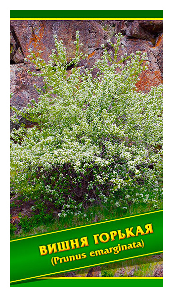 

Семена Вишня Горькая, 0,5 г Симбиоз
