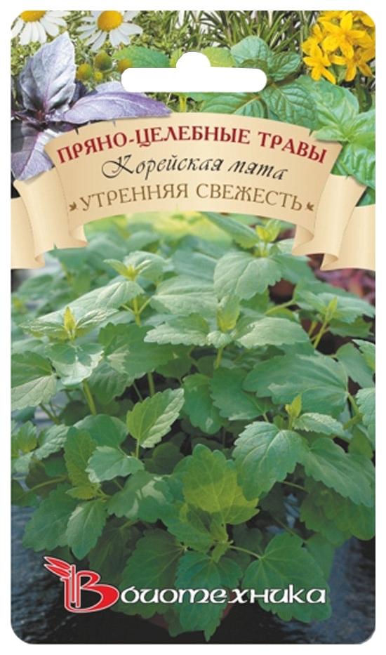 

Семена Мята корейская Утренняя свежесть, 0,1 г Биотехника