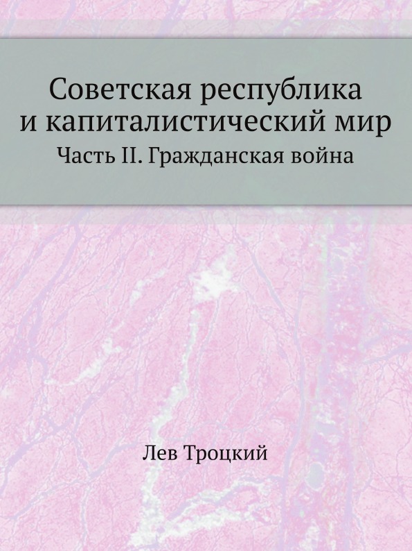 

Советская Республика и капиталистический Мир, Часть Ii, Гражданская Война