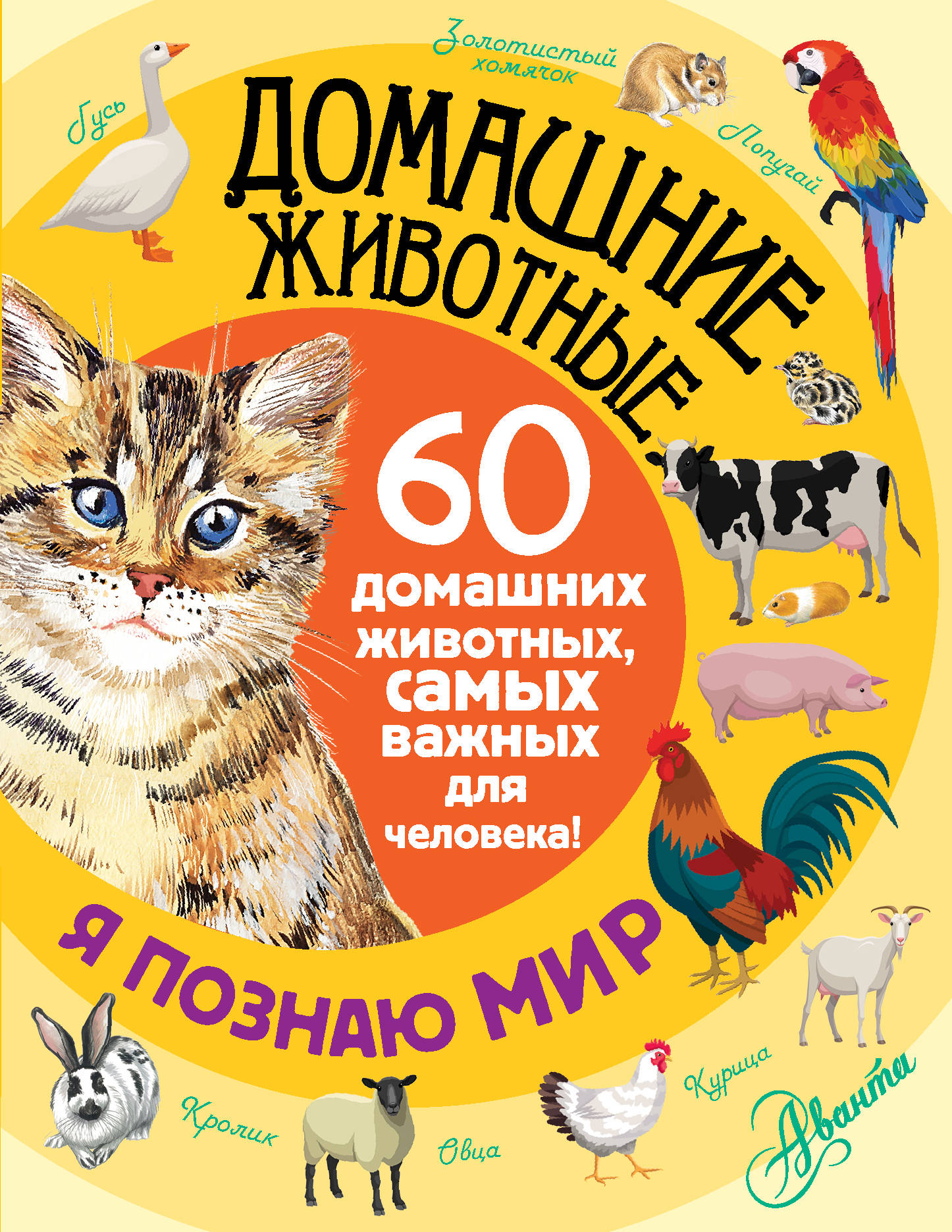 

Домашние Животные