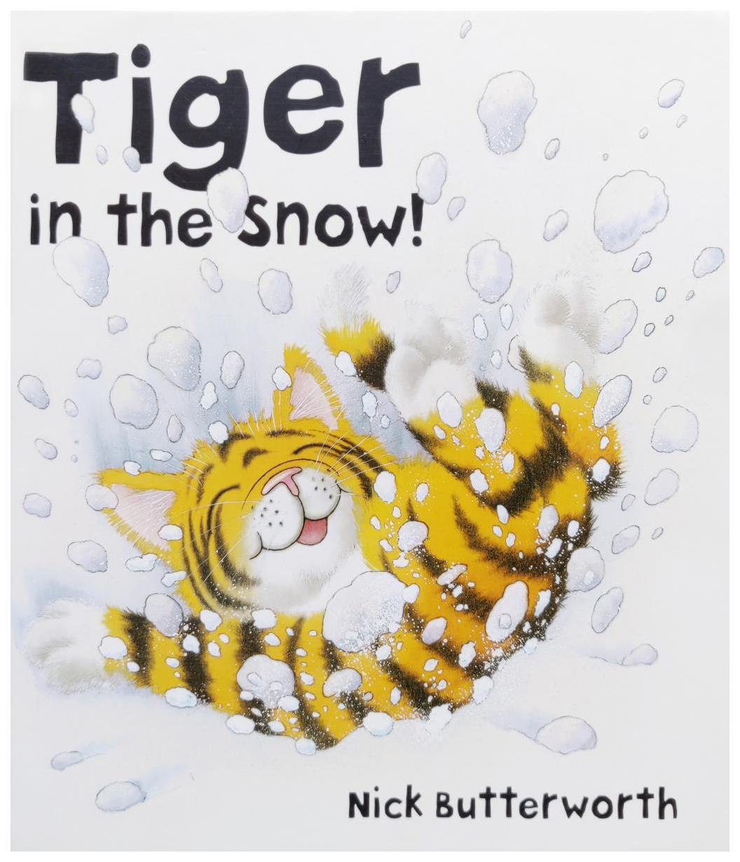 

Tiger in the Snow!