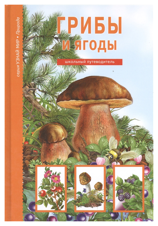 

Грибы и ягоды
