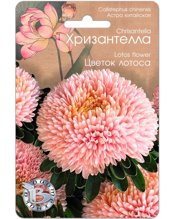 

Семена Астра китайская Хризантелла Цветок Лотоса, 40 шт, Биотехника