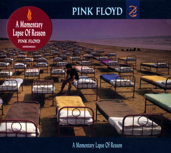 Pink Floyd A Momentary Lapse Of Reason (CD)