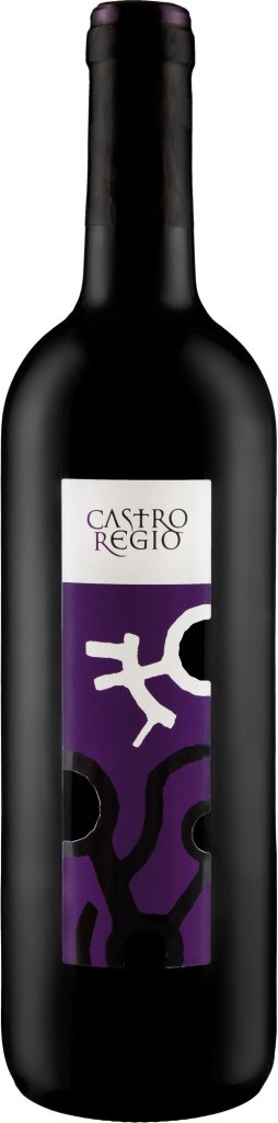 фото Вино castro regio red dry bodegas gallegas