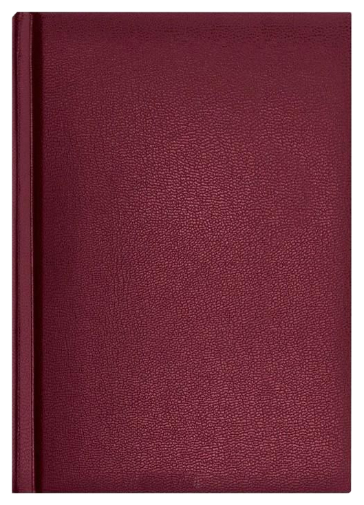 

Ежедневник ErichKrause Derby недатированный