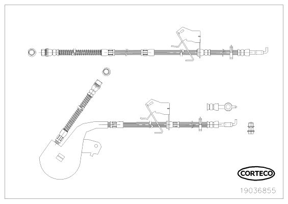 

Шланг тормозной системы CORTECO 19036855