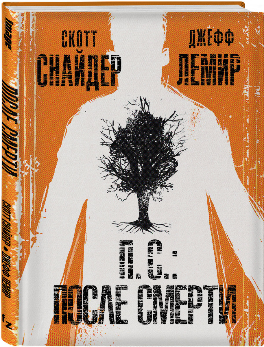 

Графический роман П,С,: После смерти