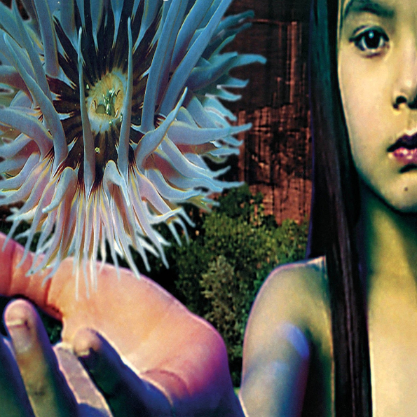 

The Future Sound Of London  Lifeforms (2LP)