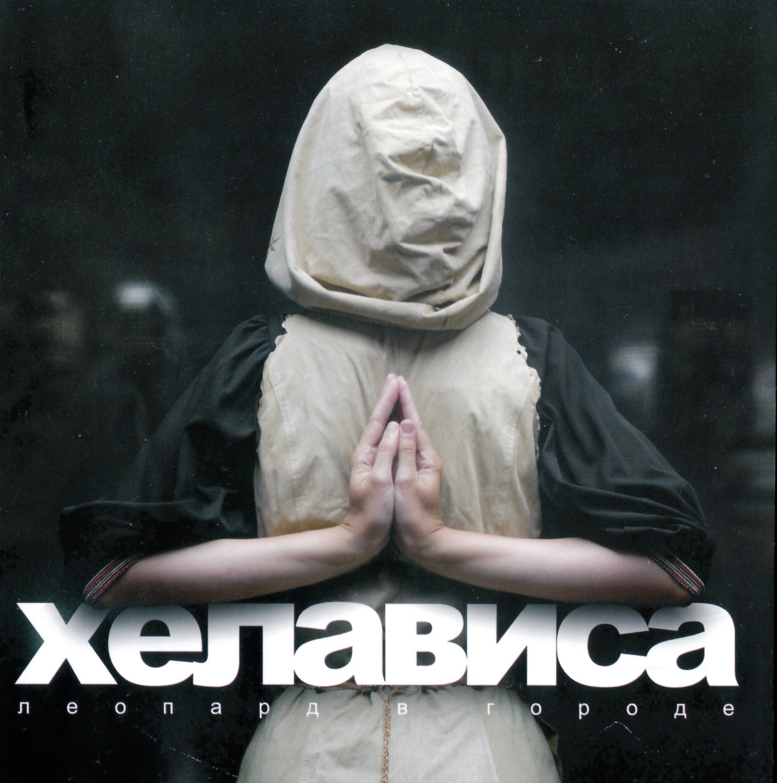 

Хелависа (Гр.Мельница) Леопард В Городе