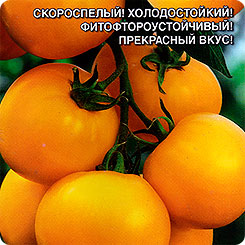

Семена Томат Непасынкующийся Желтый, 0,1 г, Уральский дачник, 191341