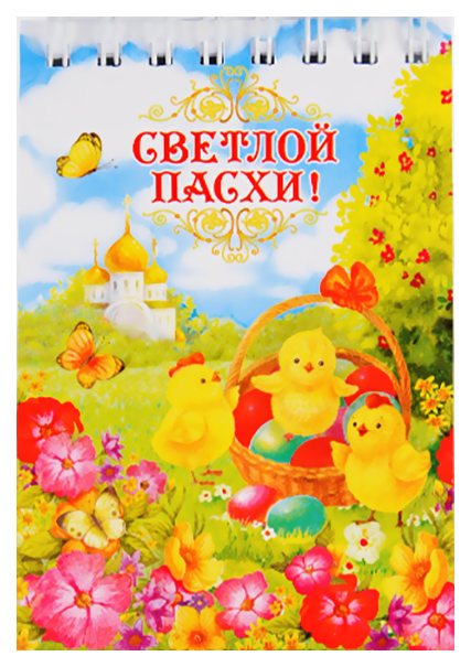 

Блокнот Символик ХВ Цыплята вертикальный