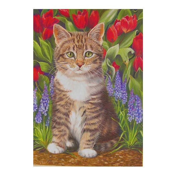фото Набор юного художника "котенок в саду" (15 цветов) molly