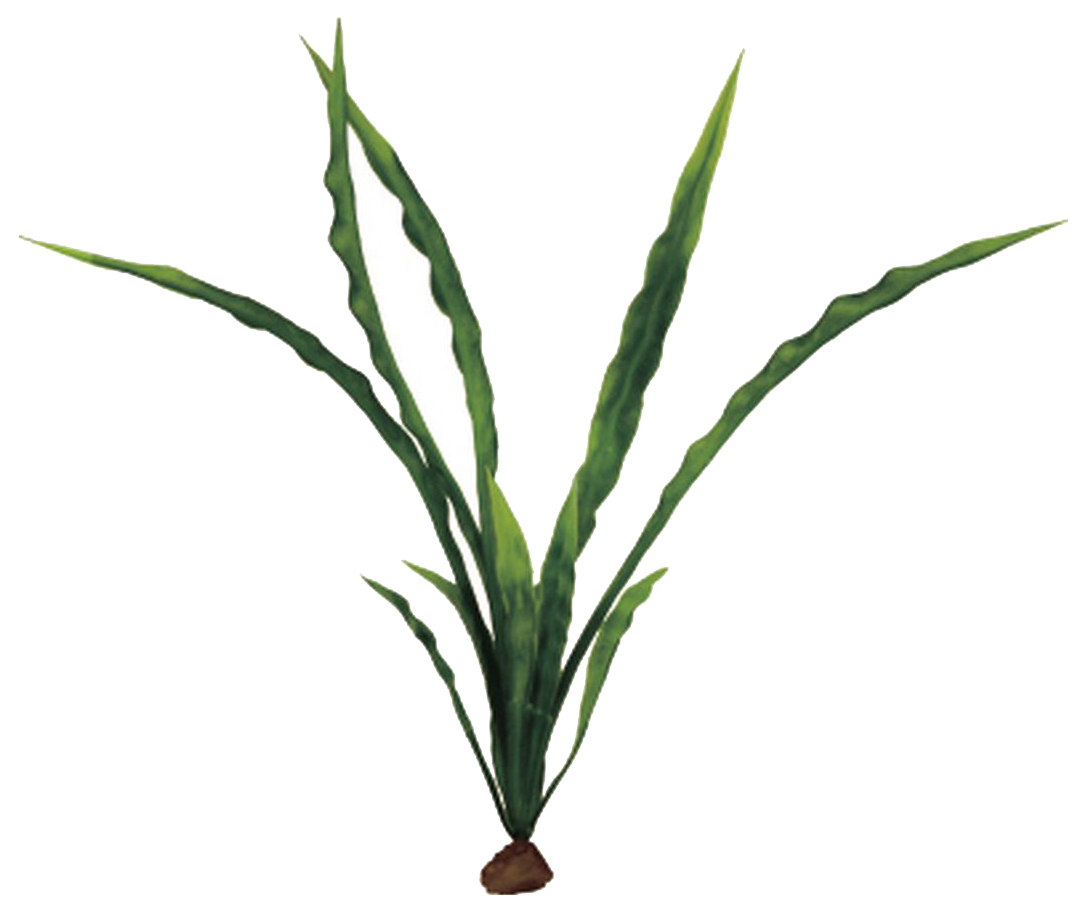 

Искусственное растение для аквариума ArtUniq Cryptocoryne crispatula 20, пластик, шелк, Cryptocoryne crispatula 20