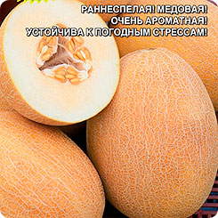 

Семена Дыня Комета, 10 шт, Уральский дачник, 217645