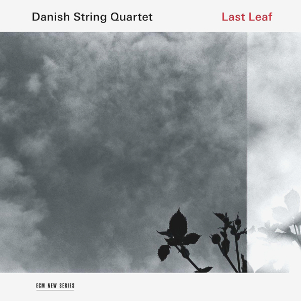 Danish String Quartet 