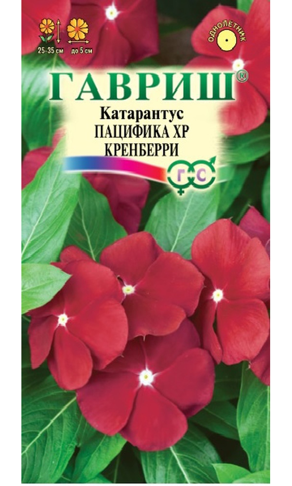 

Семена Катарантус Пацифика XP Кренберри, 7 шт, Элитная клумба Гавриш