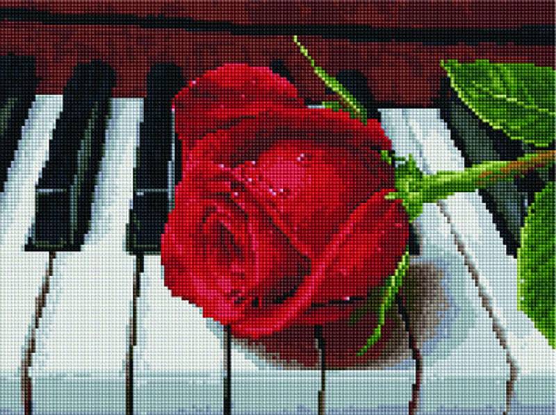 

Алмазная вышивка Painting Diamond Благодарность музыканту, 30x40 см, Благодарность музыканту