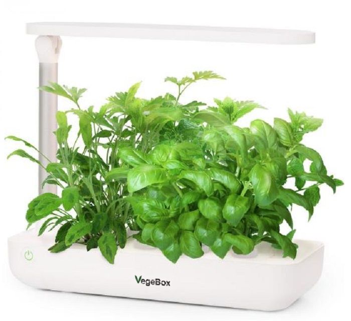 

Настольная домашняя ферма Vegebox Tbox, Настольная ферма