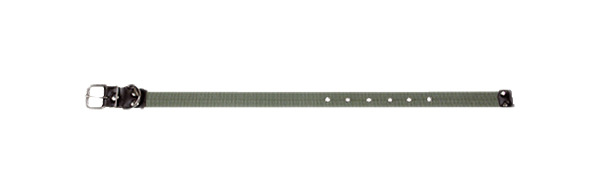 Ошейник для собак Зооник, капроновая лента, зеленый, 46-66 см x 35 мм