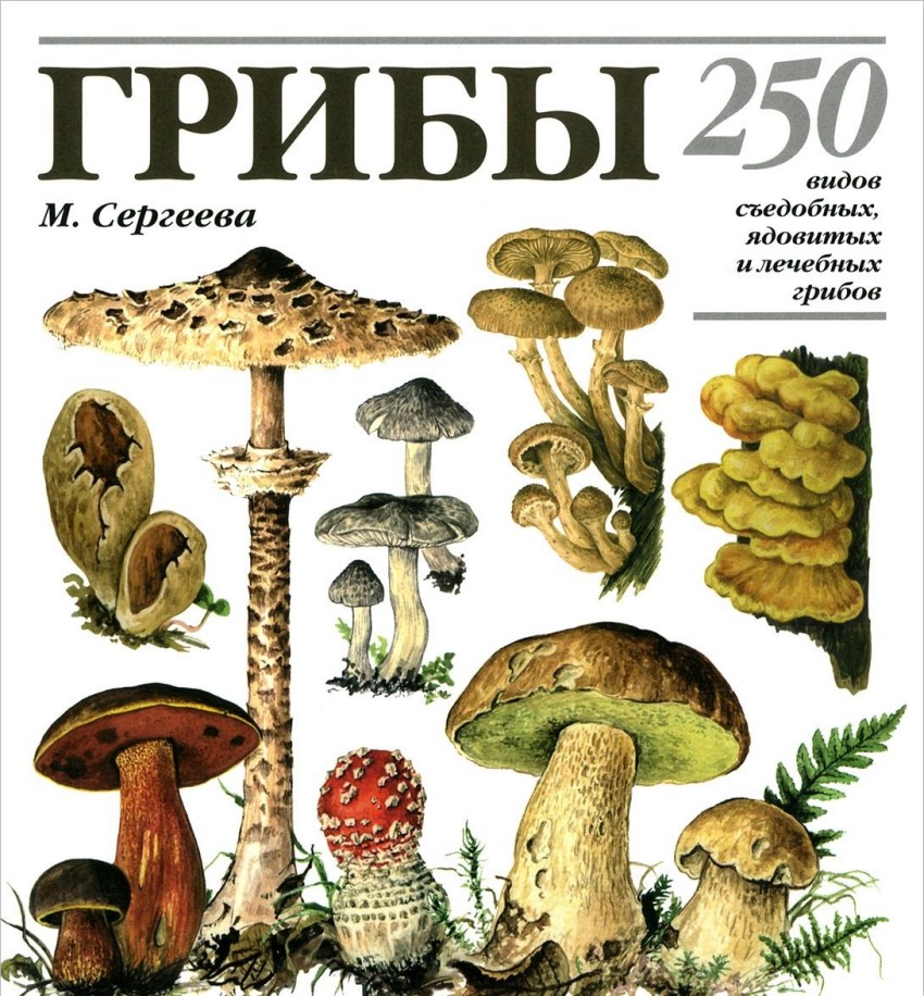 Книга Грибы. 250 видов съедобных, ядовитых и лечебных грибов