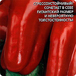 

Семена Перец сладкий Уральский Толстостенный F1, 20 шт, Уральский дачник, 187580
