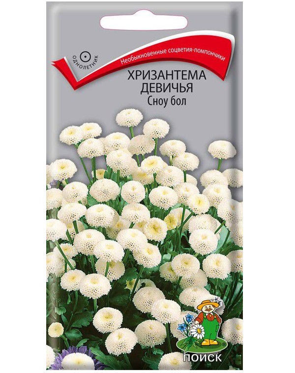 

Семена хризантема Поиск Сноу Бол 188560 1 уп.