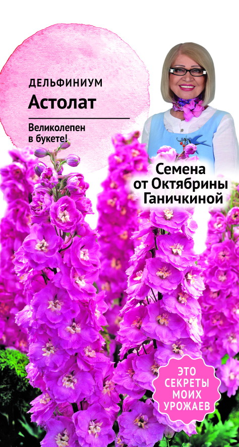 фото Семена дельфиниума астолат 0.1 г, октябрина ганичкина