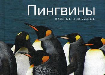 фото Книга пингвины. важные и дружные колибри