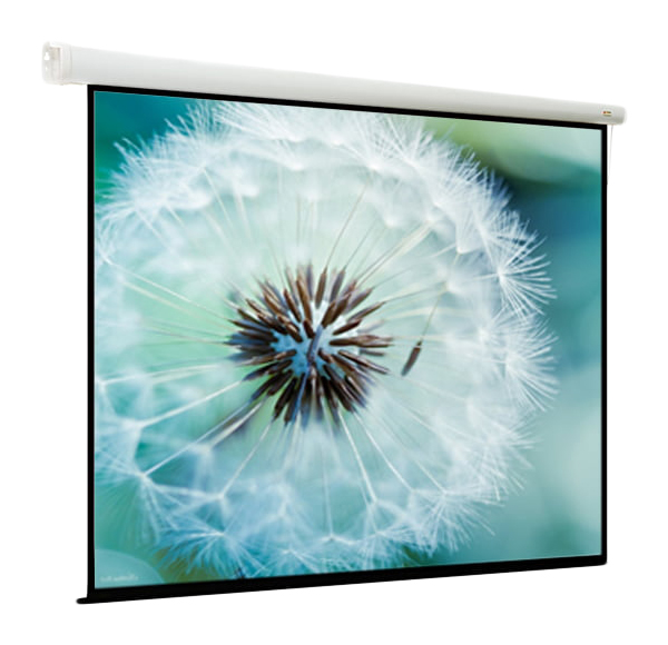 

Экран для видеопроектора ViewScreen Breston EBR-4307, Breston 297*221 MW