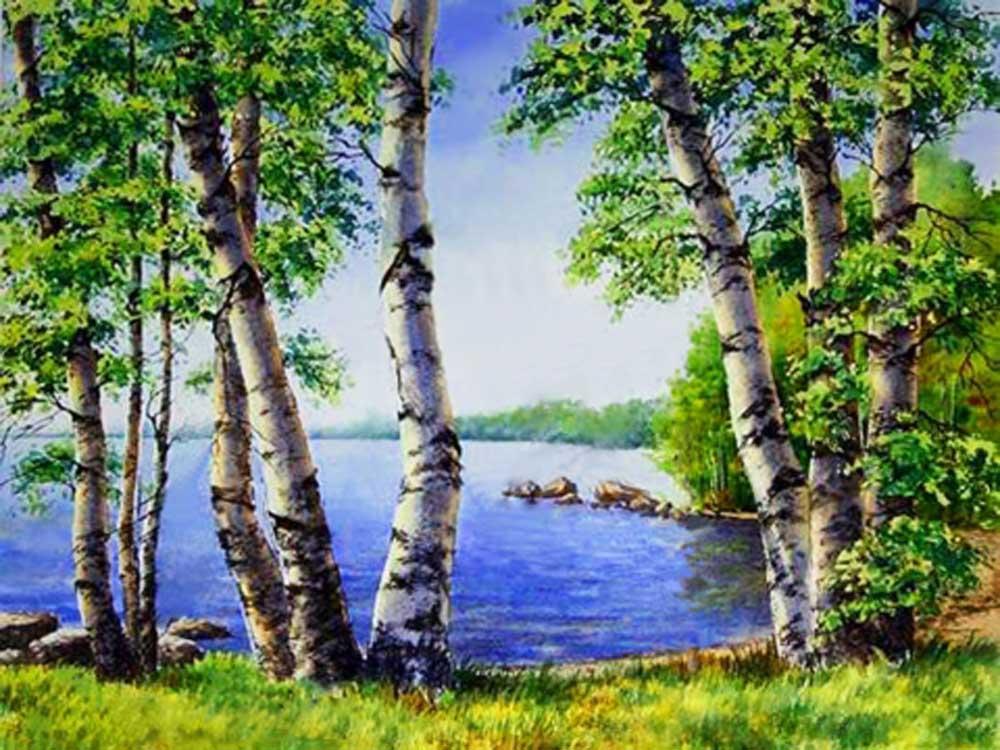 

Алмазная вышивка Алмазная Живопись Березы у озера, 30x40 см, Березы у озера