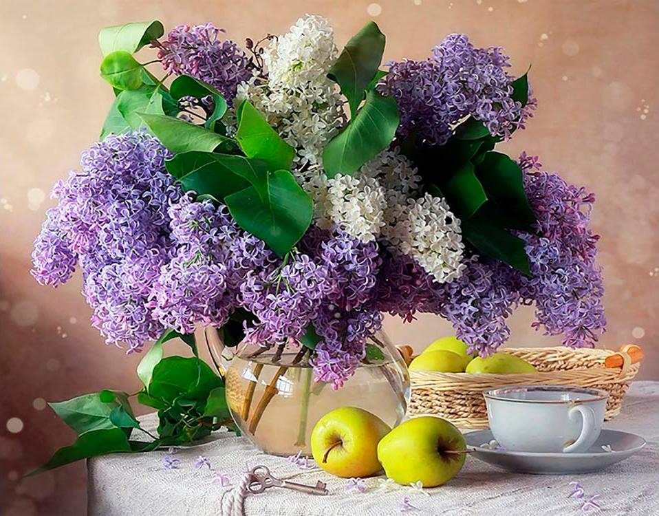 

Алмазная вышивка Алмазное Хобби Сирень с яблоками, 50x60 см, Сирень с яблоками